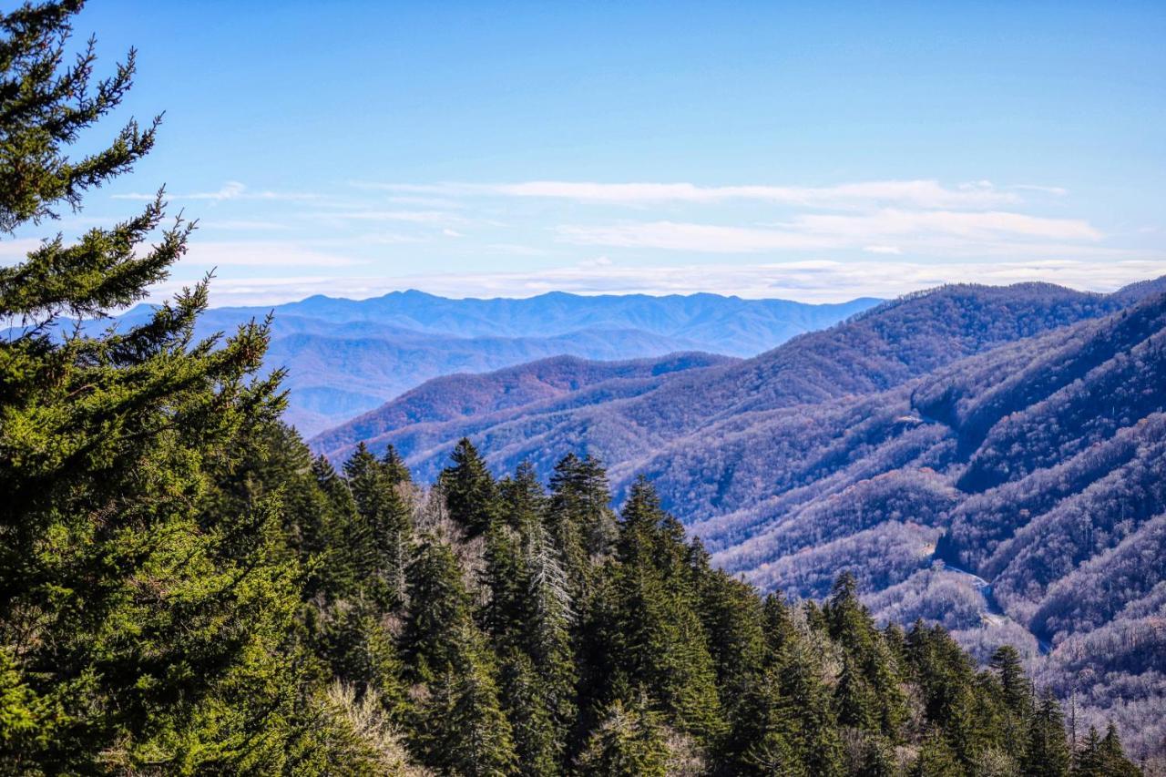 Holly Berry Βίλα Pigeon Forge Εξωτερικό φωτογραφία